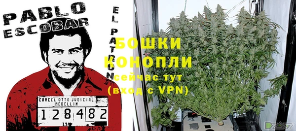 дмт Корсаков