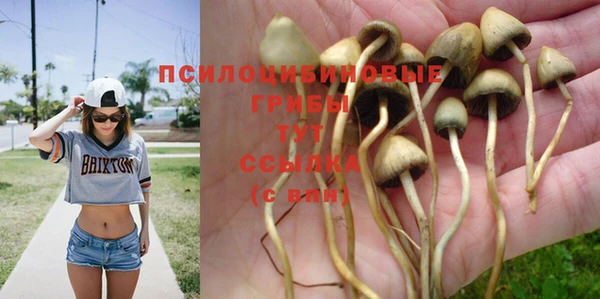 каннабис Коряжма