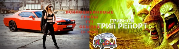 дмт Корсаков