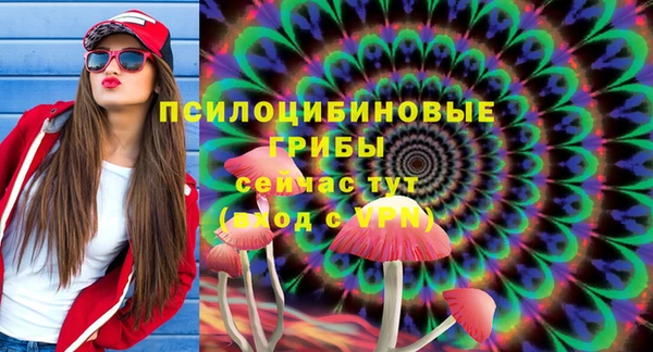 каннабис Коряжма
