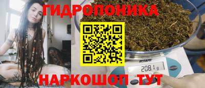 эйфоретик Абакан
