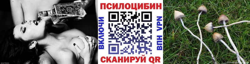 Галлюциногенные грибы MAGIC MUSHROOMS  закладка  Альметьевск 